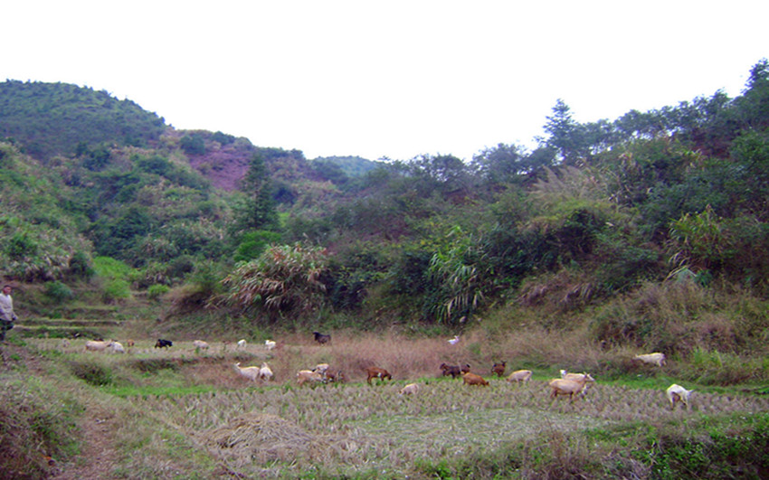 DSC08499__.jpg
