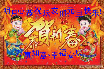 2013Ԫ_.gif