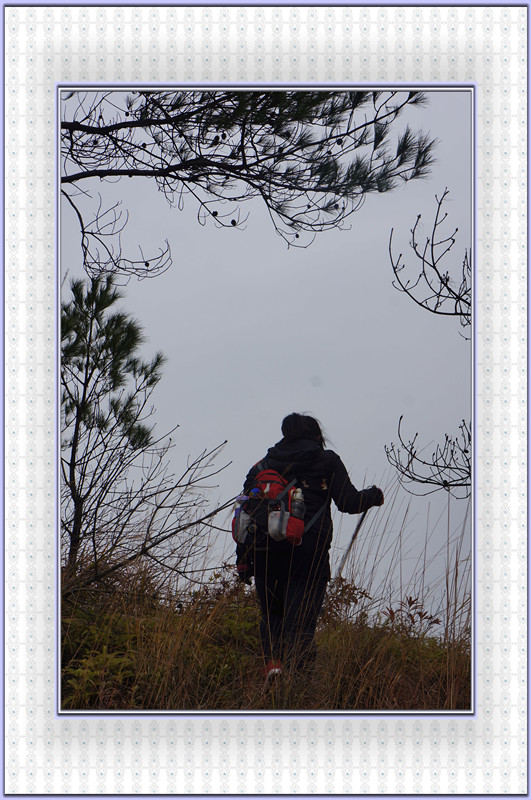 DSC00093.jpg