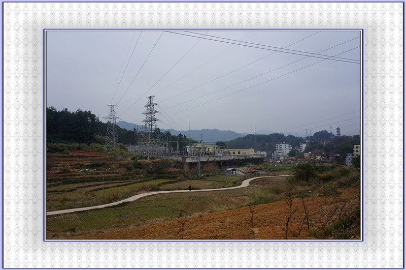 DSC00209.jpg