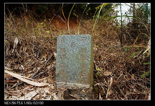 DSC00764.jpg