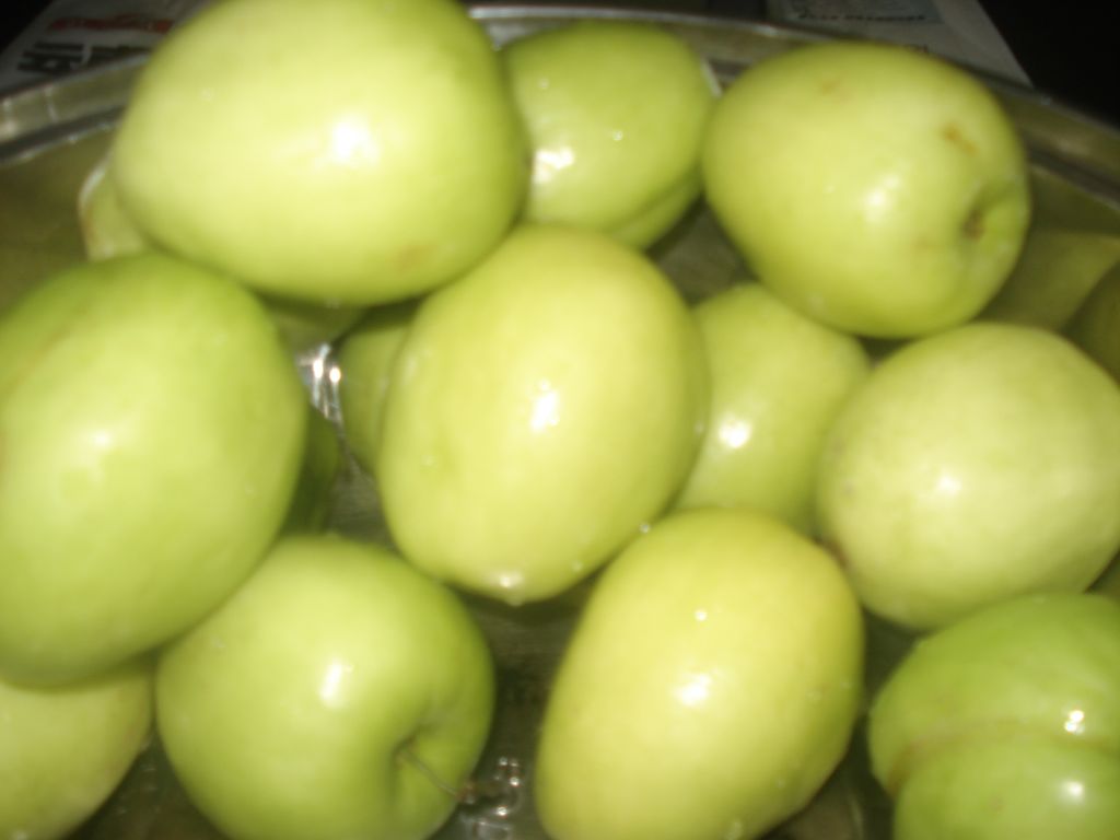 DSC07736.JPG