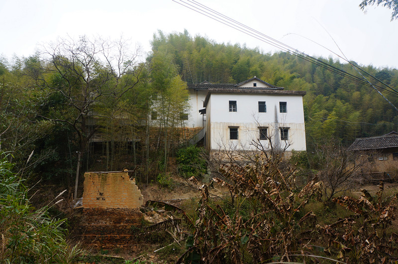 DSC00796.jpg