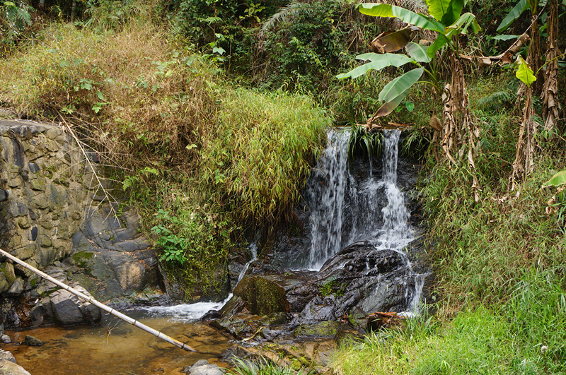 DSC00776.jpg