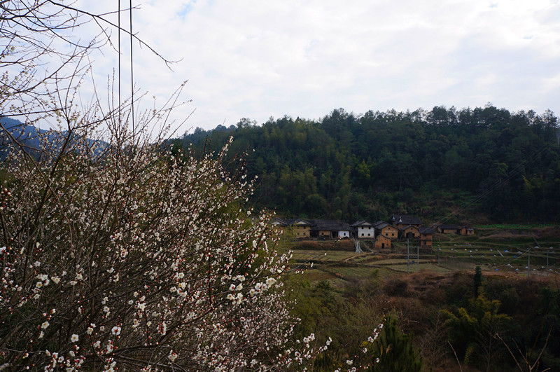 DSC02777.JPG