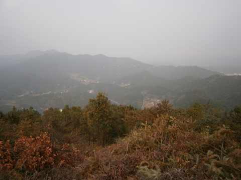 P1170329.JPG