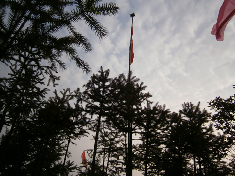 P1170331.JPG