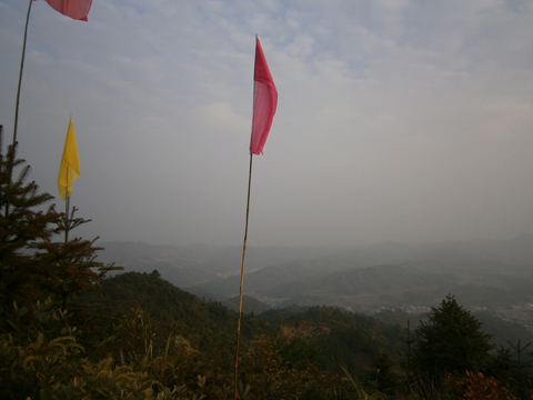 P1170332.JPG