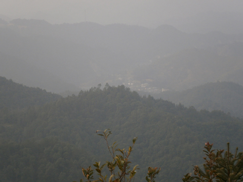P1170341.JPG