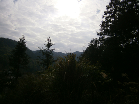 P1200360.JPG