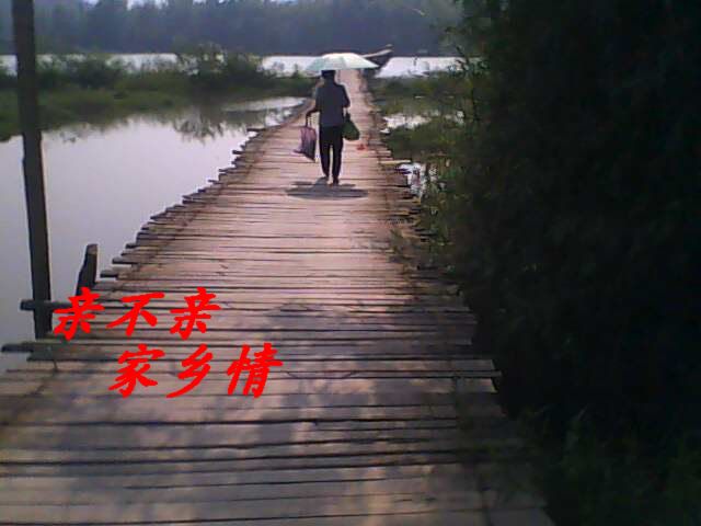 IMG0662A.jpg