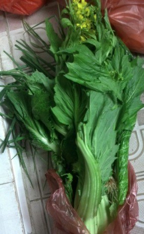 QQͼ20130212113017.jpg