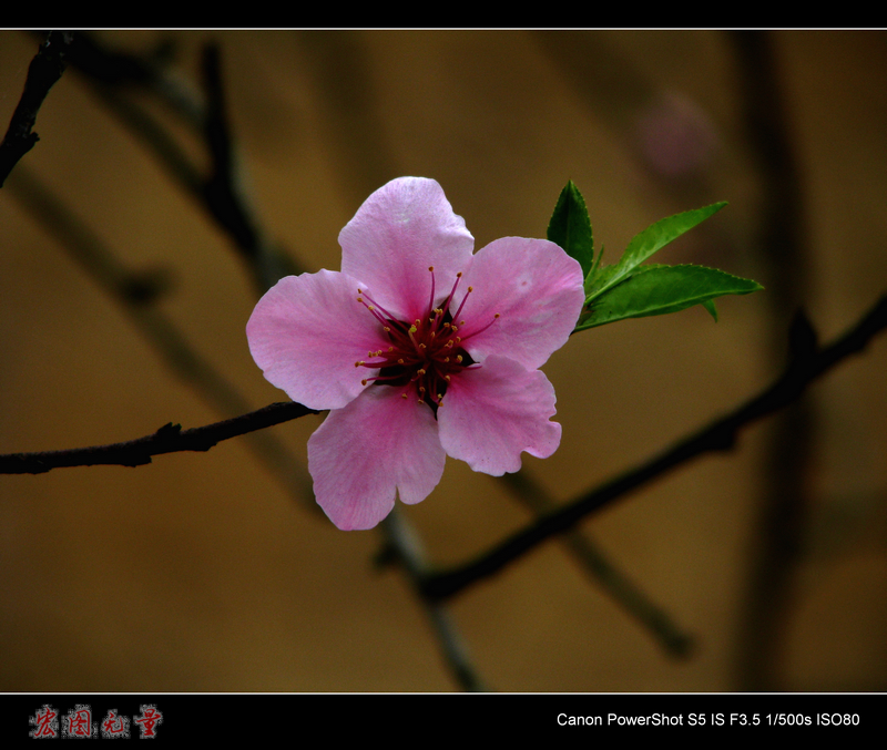 ´죬һ¸ꡣ кǧһʡ