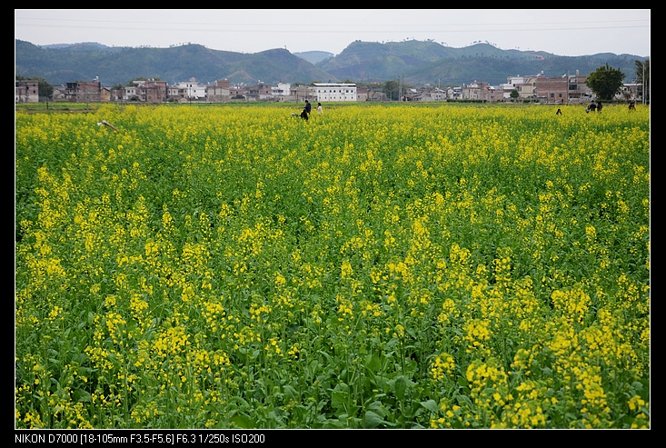 2013-02-15ƽ_ (11).jpg