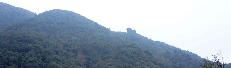 DSC07675.jpg