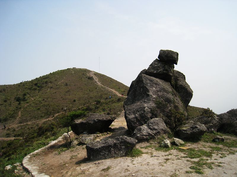 222.jpg