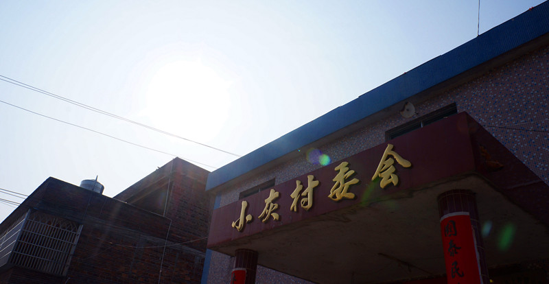 DSC08095.jpg