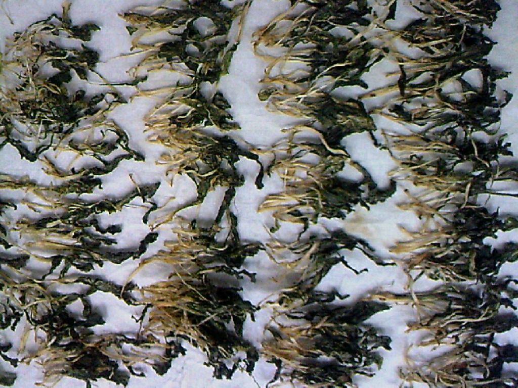 121105A000.jpg