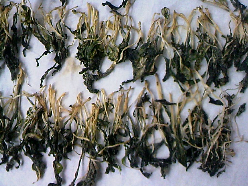 121105A001.jpg