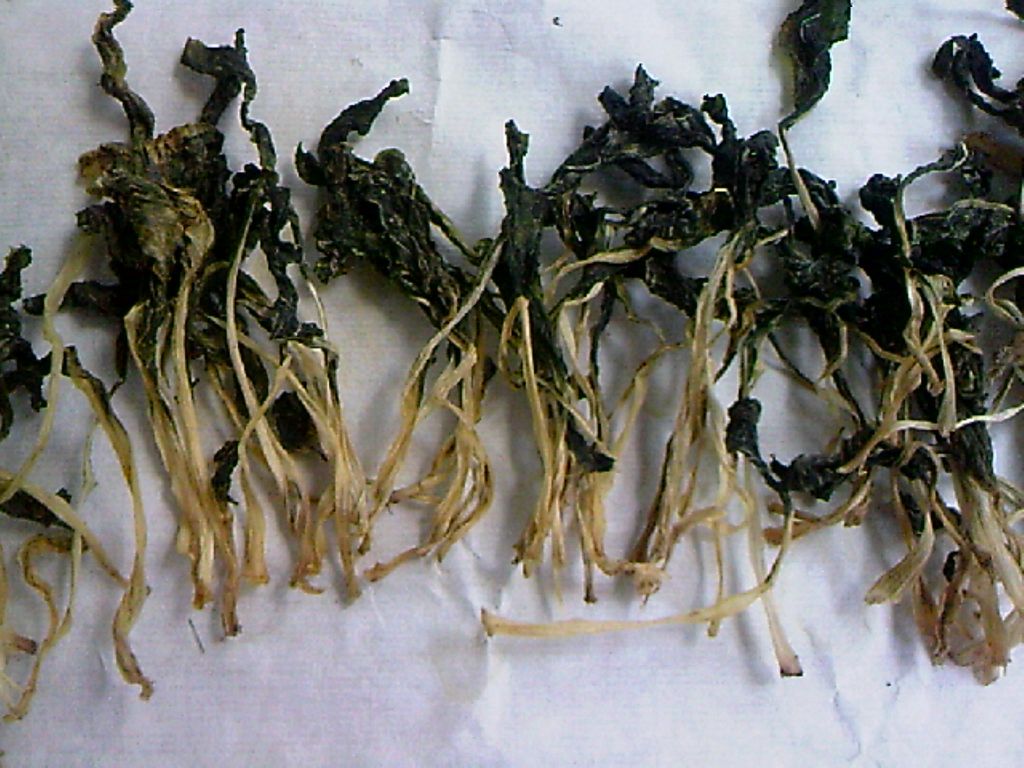 121105A003.jpg