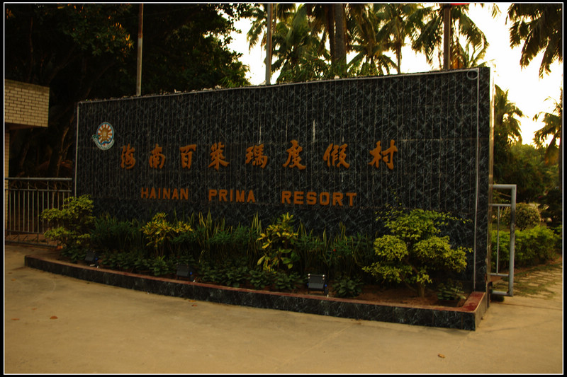 IMGP3242.jpg