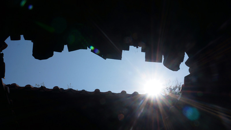 DSC08709.jpg