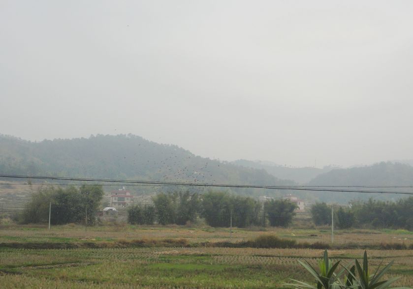 2013218, 9:47:48