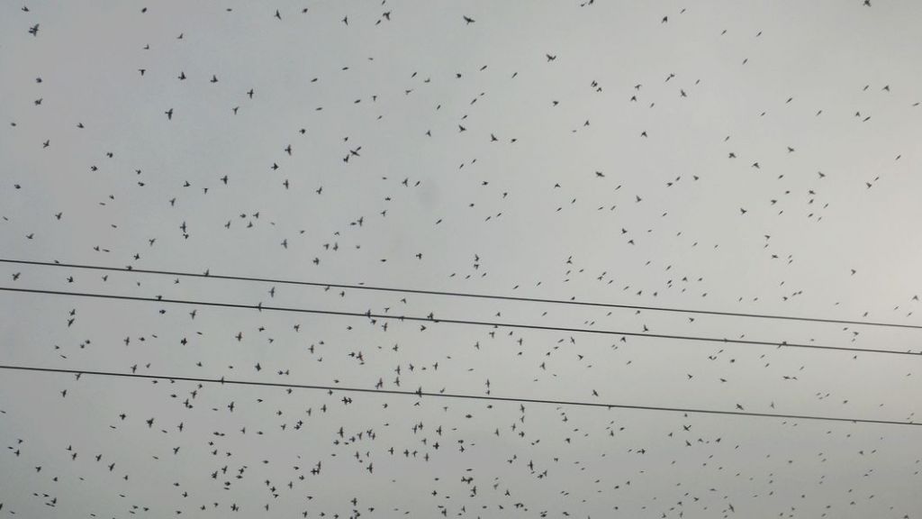 2013218, 9:47:48