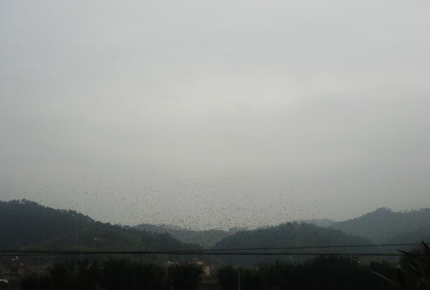 2013218, 9:47:48