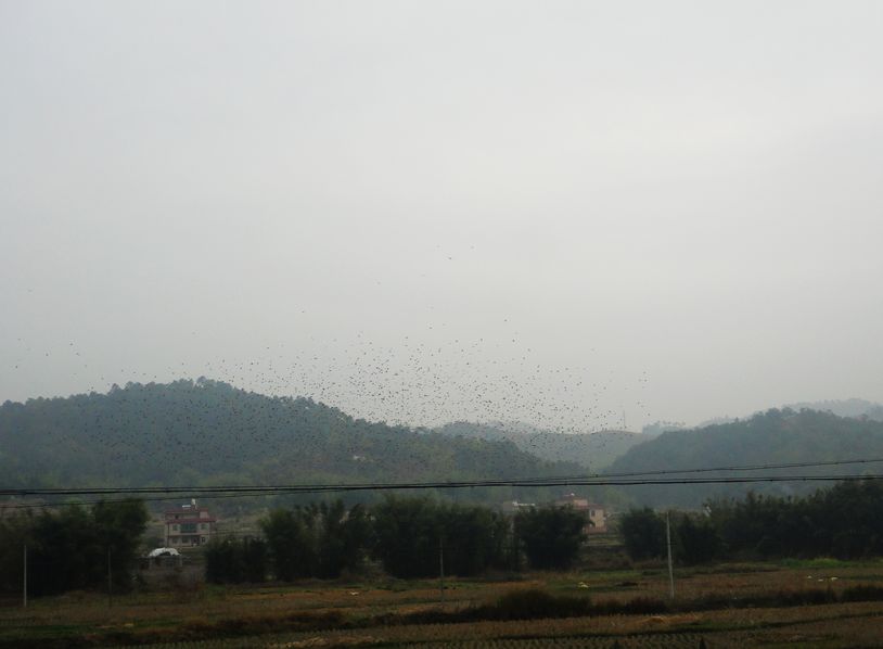 2013218, 9:47:48