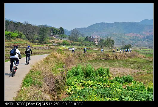 DSC_9325.jpg