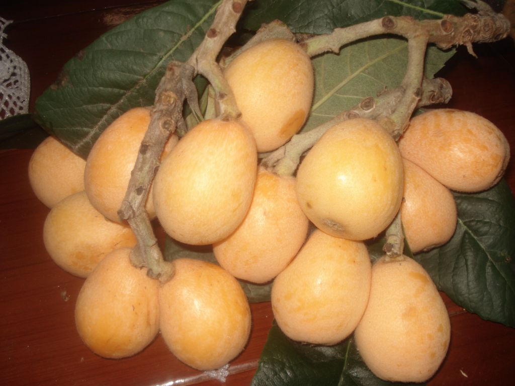 DSC07795.JPG