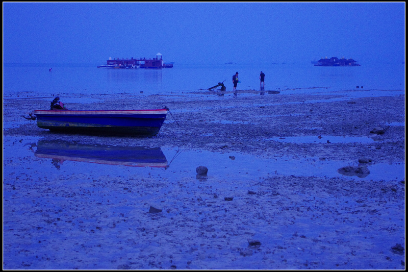 IMGP3933.JPG