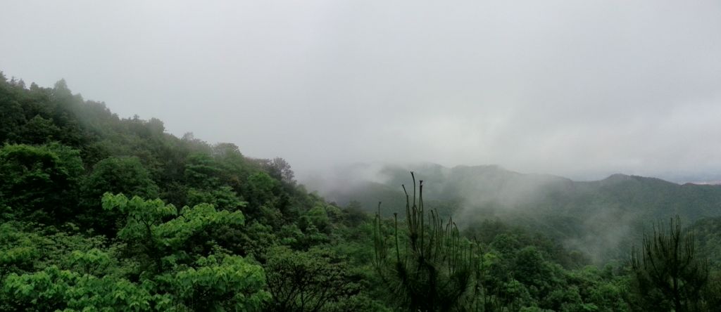 20130405_174129.jpg