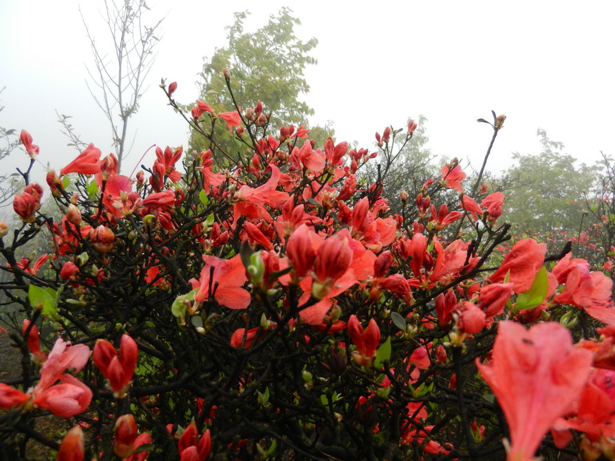 DSCN1431.JPG