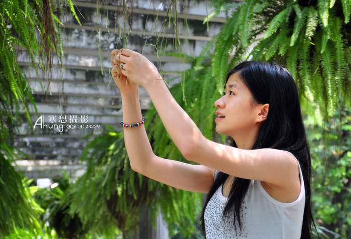 DSC_8372--SC.jpg