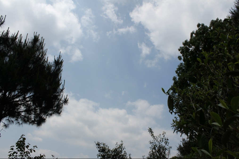 I05%P(K@0VV)Z]X]P2YY4LF.jpg