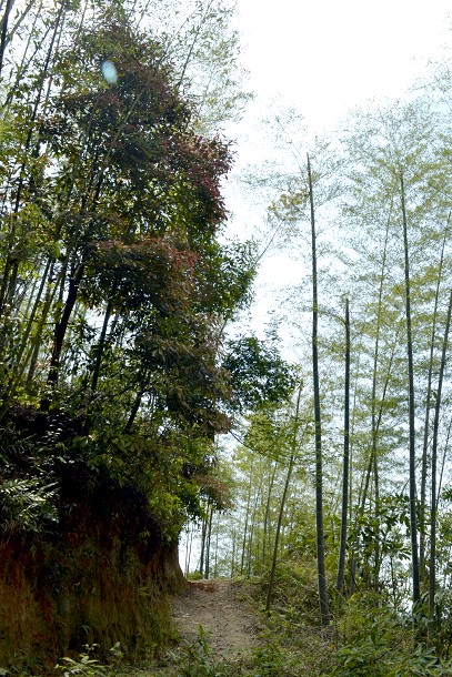 7L3~JT7(%7B%25@%60NW1I38U%25C24.jpg