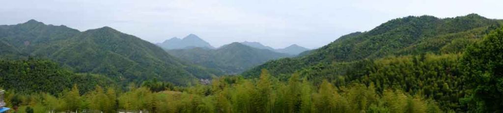 DSCF1230.jpg