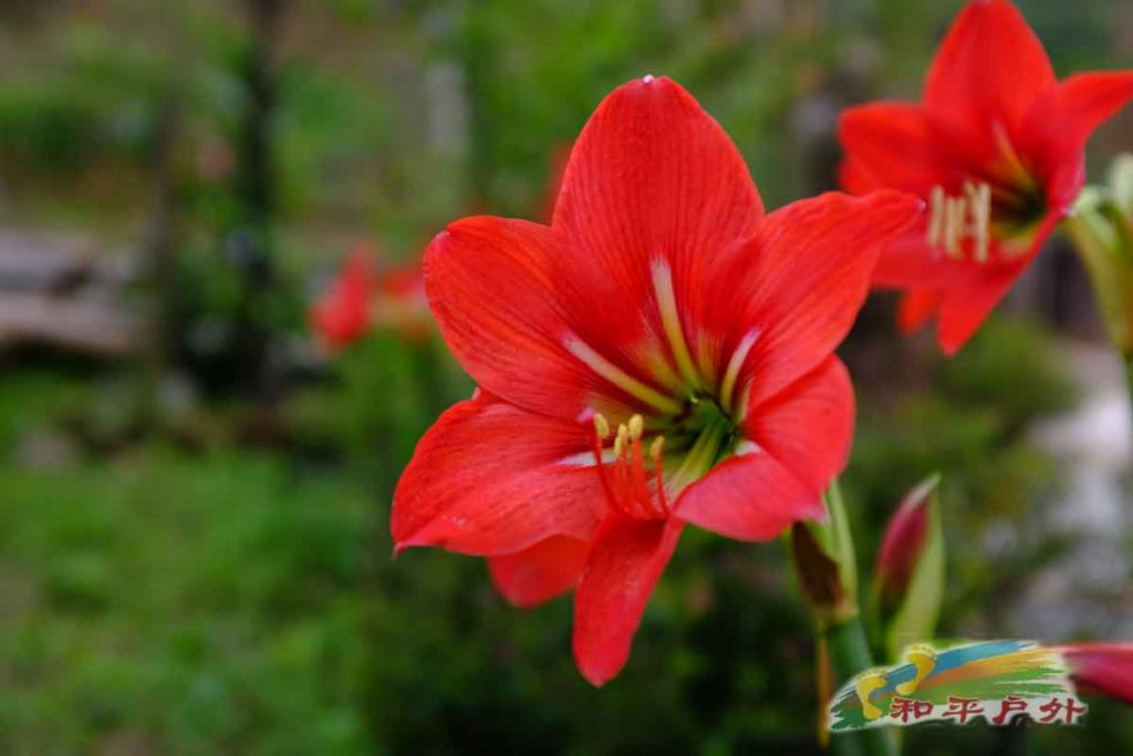 DSCF1478.jpg