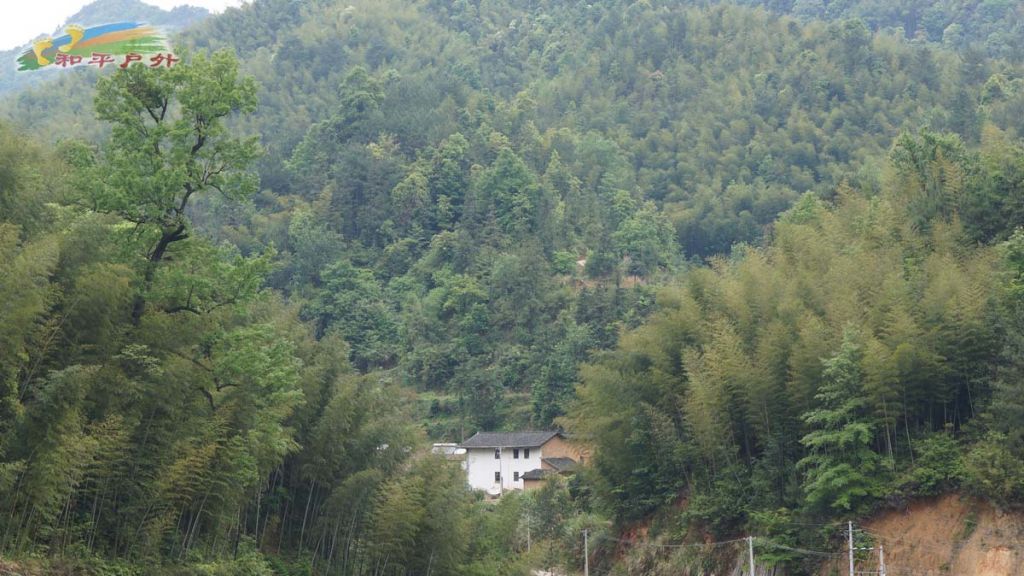 DSC03017.jpg