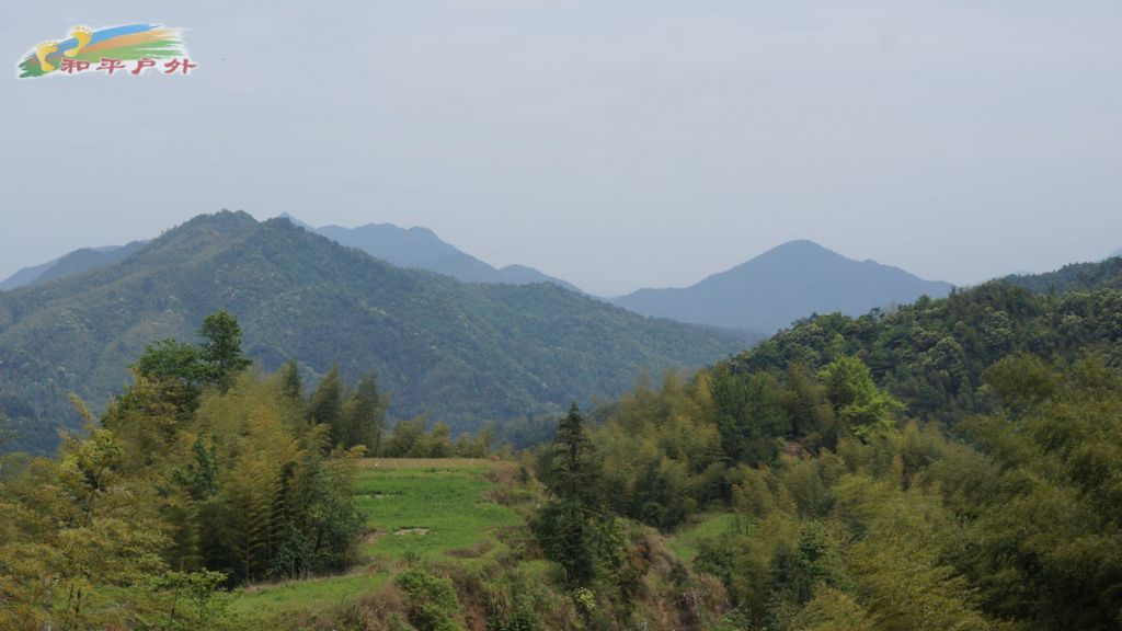 DSC03076.jpg