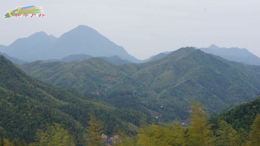 DSC03108.jpg