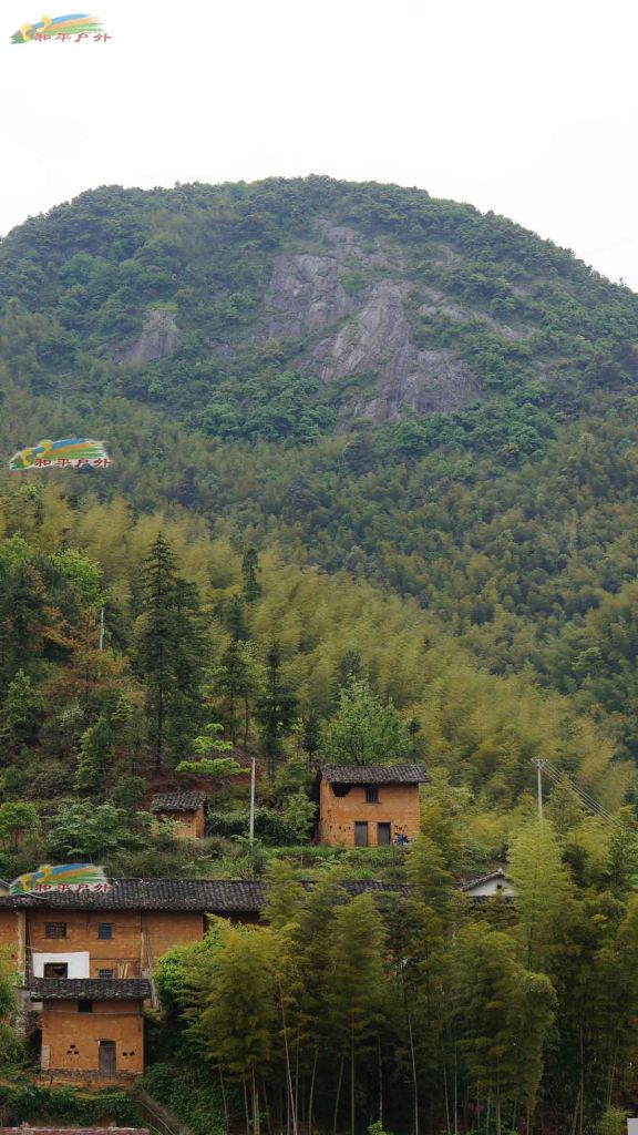 DSC03123.jpg