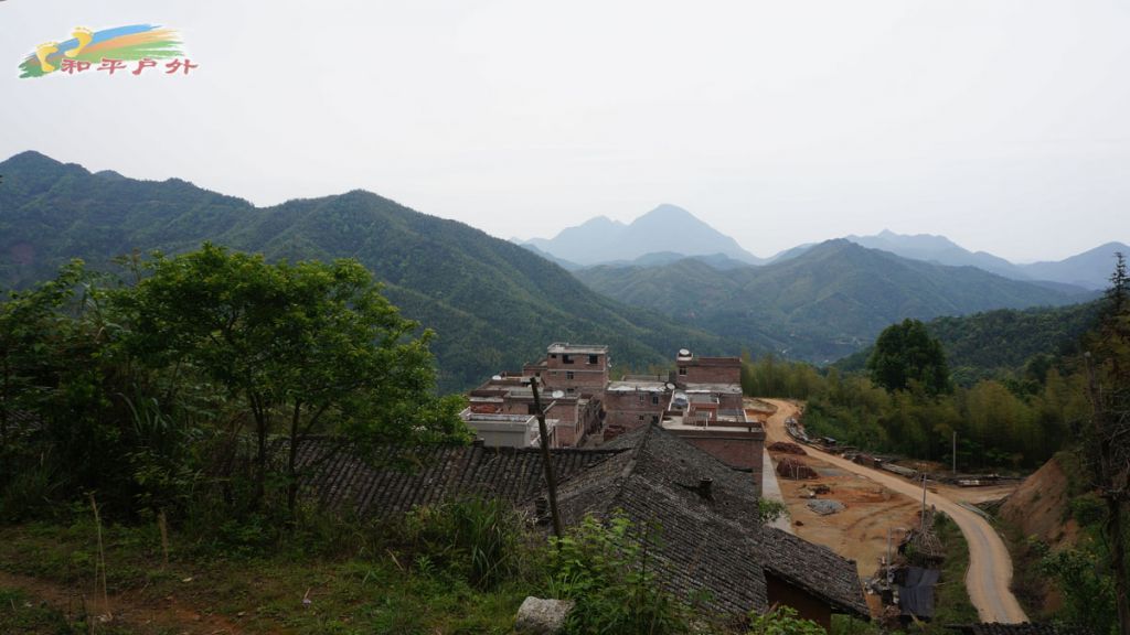 DSC03306.jpg