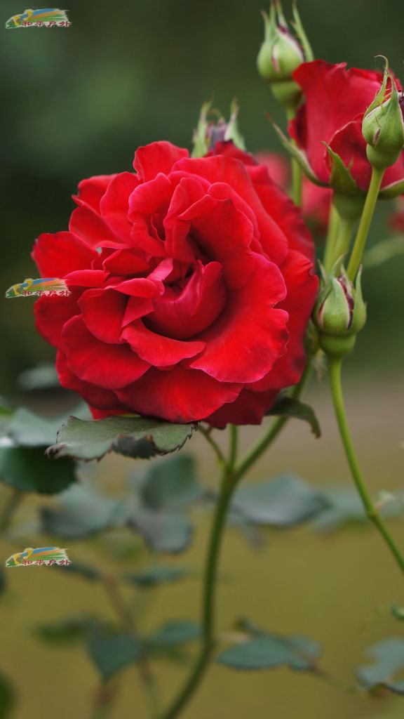 DSC03440.jpg