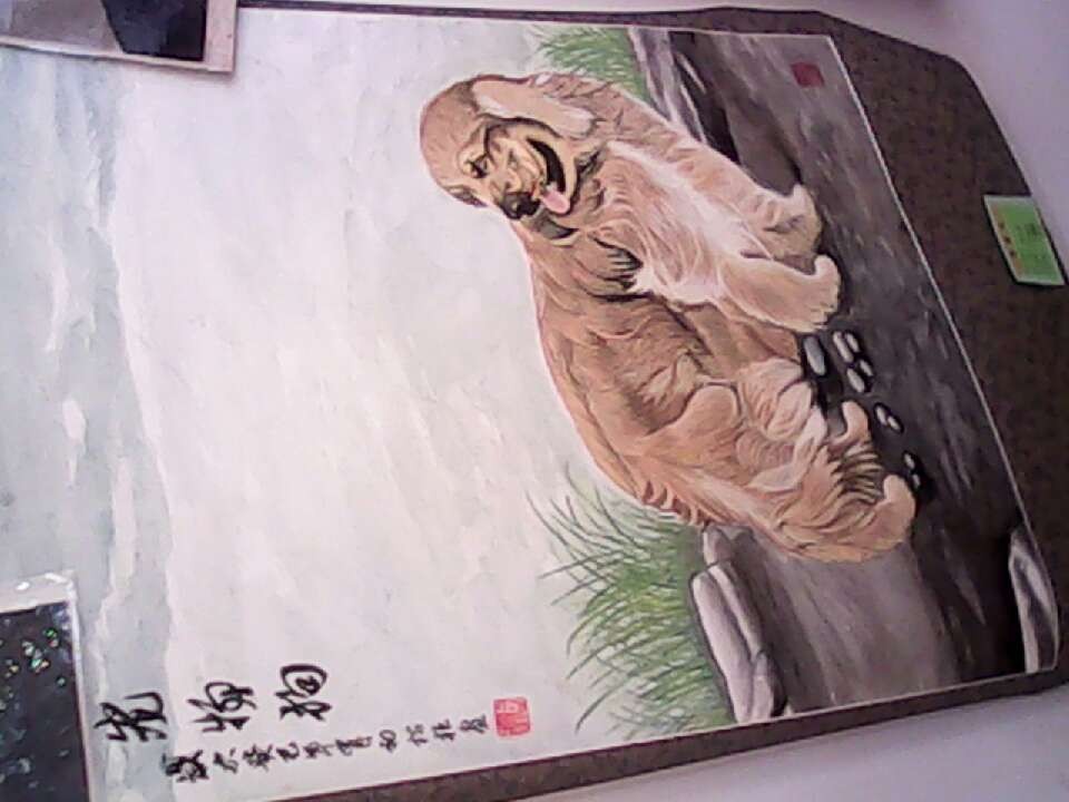 δ9.jpg