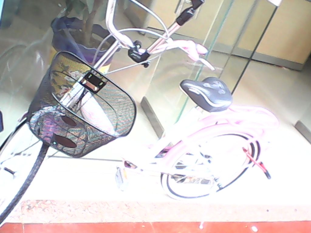 IMG_20130423_102959.jpg