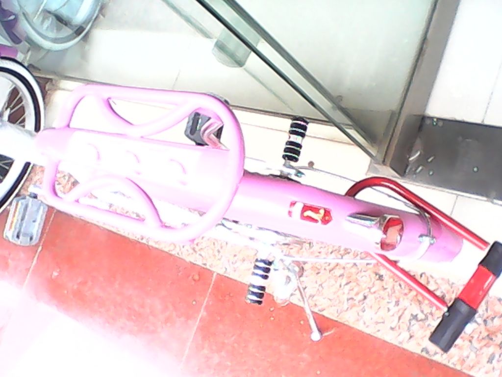 IMG_20130423_103026.jpg