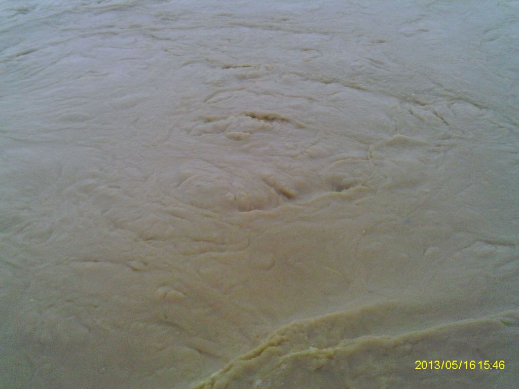 IMAG0171.JPG